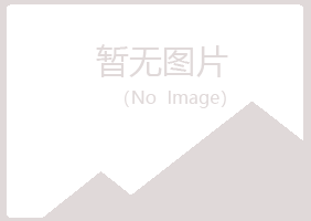 龙山区忆山服务有限公司